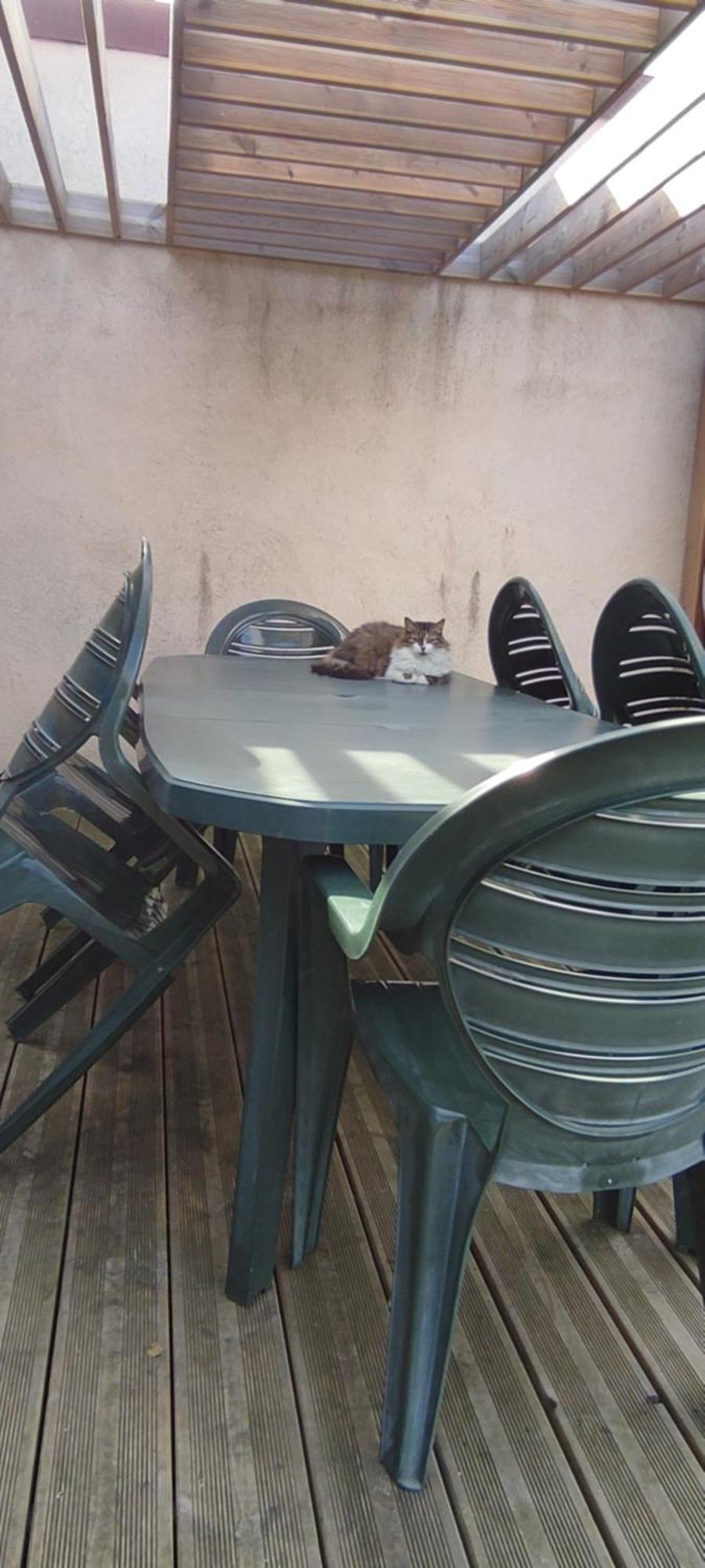 Berck Maison De Vacances Avec Terrasse Et Jardin, 외부 사진
